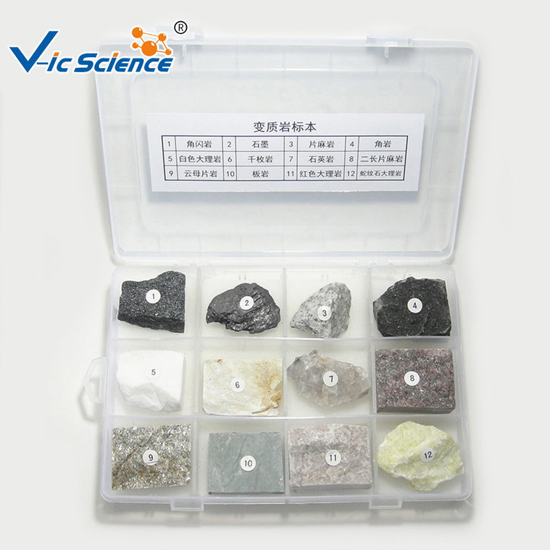 Professional Mineral And Rock Specimens Metamorphic Rock Samples